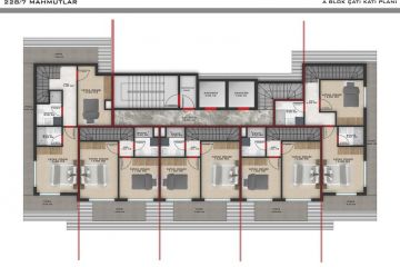 Alanya Mahmut Projesi